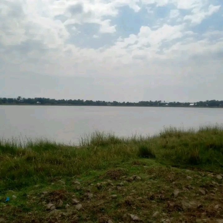 blog-1
