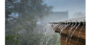 blog-1